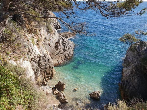 Clos Victor Spacieux 2 Pieces Apartment Toulon