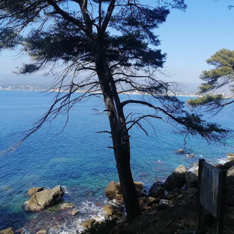 Clos Victor Spacieux 2 Pieces Apartment Toulon